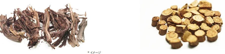 画像に alt 属性が指定されていません。ファイル名: clearfl4.jpg