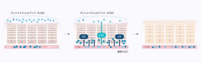 EKATO 炭酸ガスパックの効果